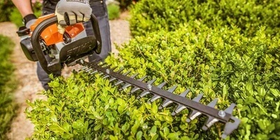 shrubs and lawn care