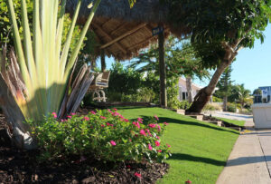 Mulch and decorative rock installation in Southwest Florida