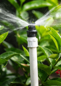 Professional irrigation services in Southwest Florida