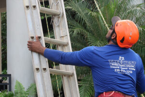 Island Home Service professional landscaping crew in Southwest Florida