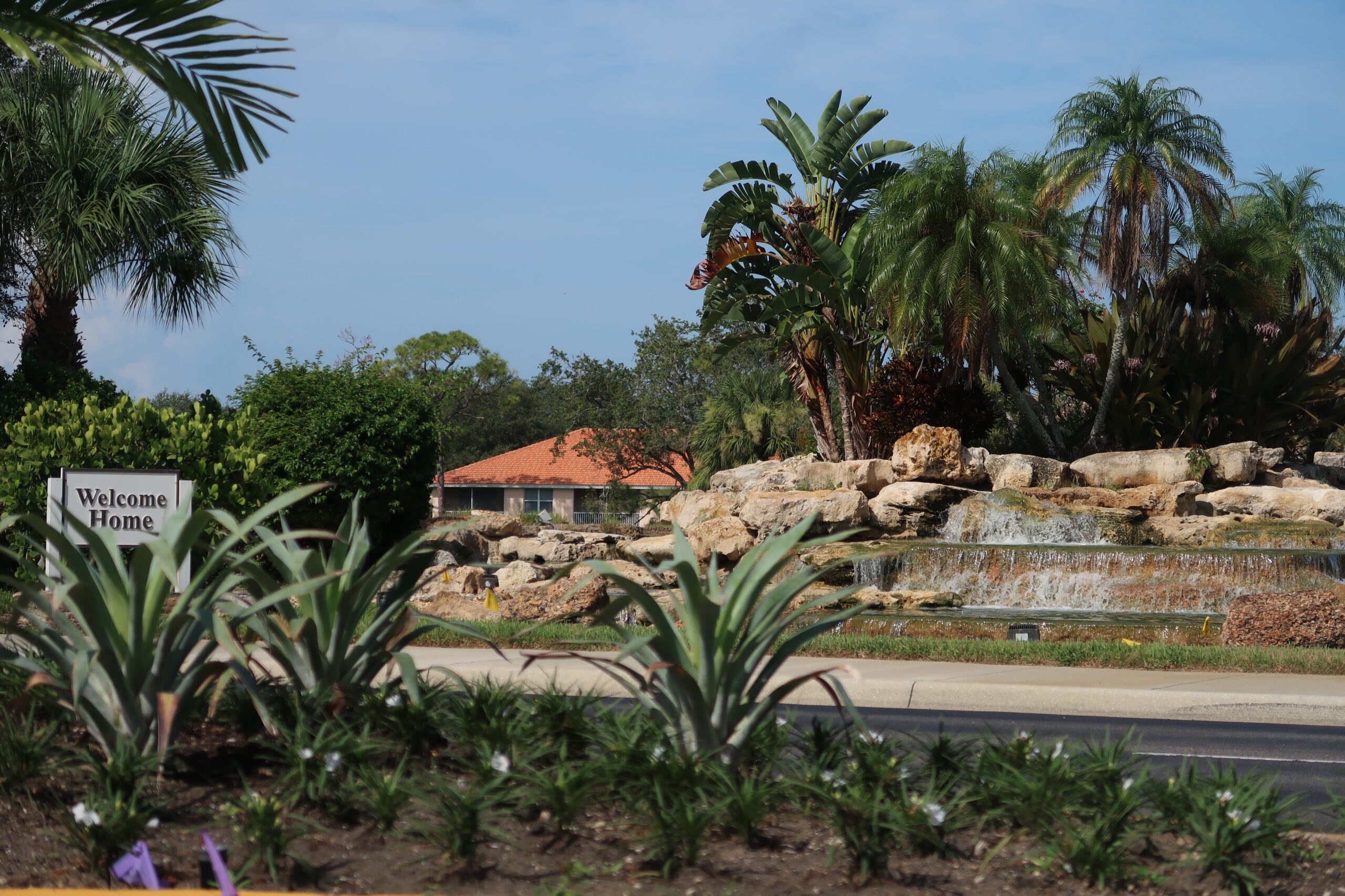 Spanish Wells landscape